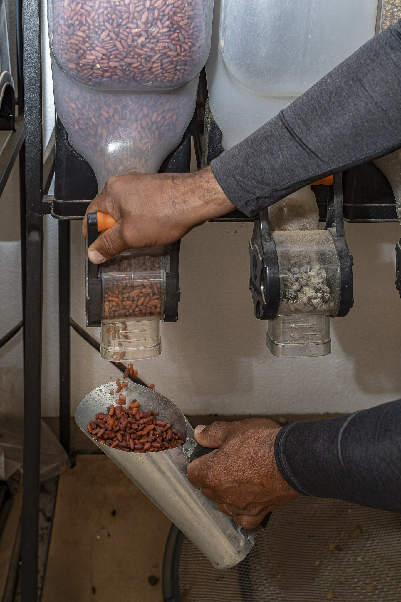 Imagem Restauração Ecológica PA4--39 da expedição de expedicoes/restauracao_25